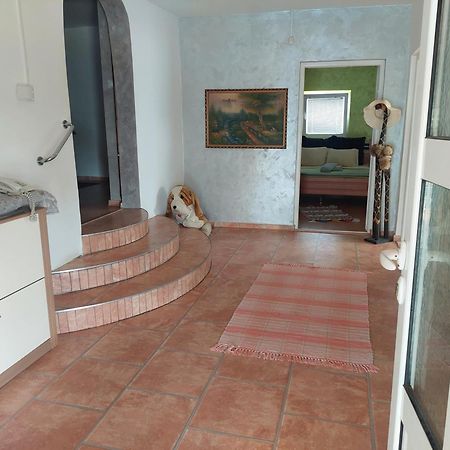 Vila Boba Bor Zlot Екстериор снимка