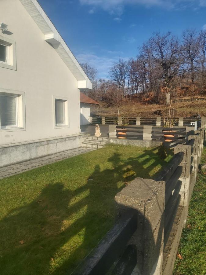 Vila Boba Bor Zlot Екстериор снимка