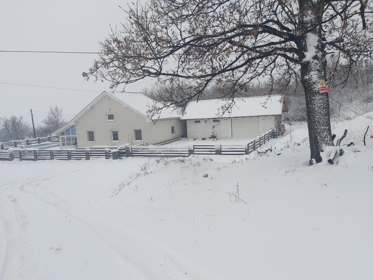 Vila Boba Bor Zlot Екстериор снимка