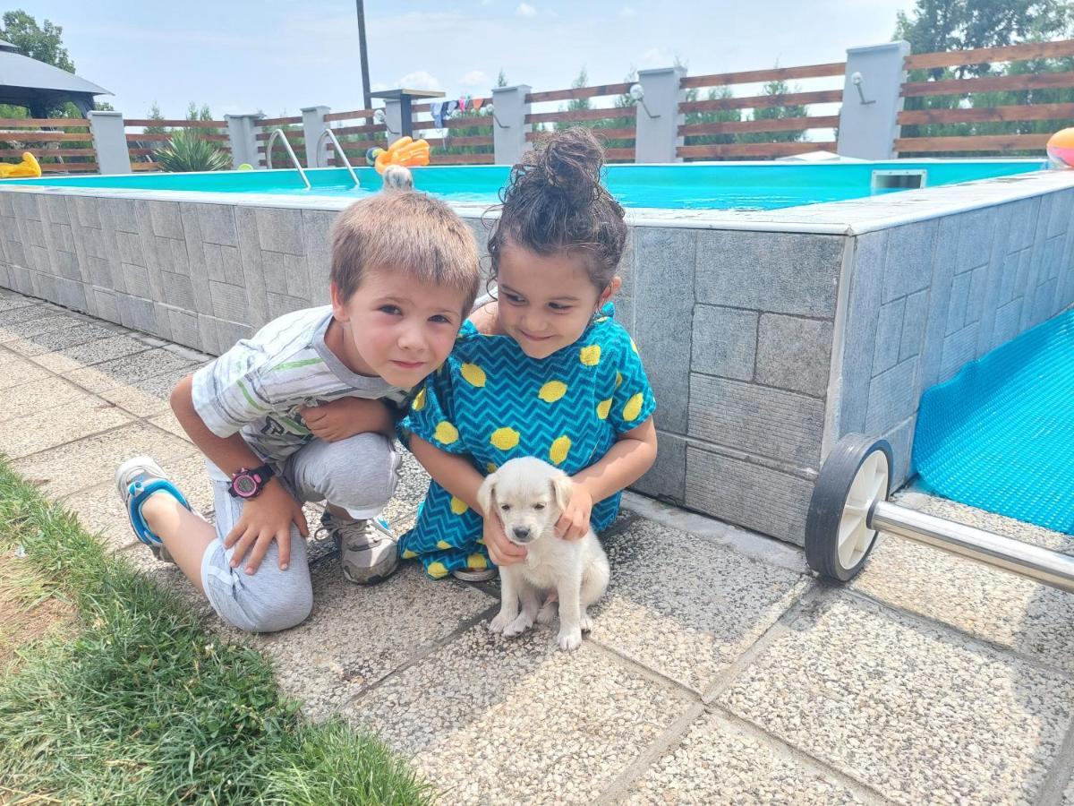 Vila Boba Bor Zlot Екстериор снимка