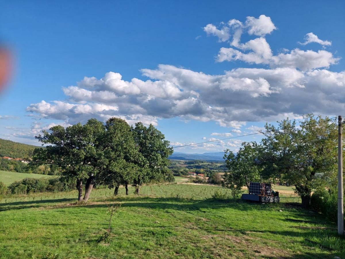 Vila Boba Bor Zlot Екстериор снимка