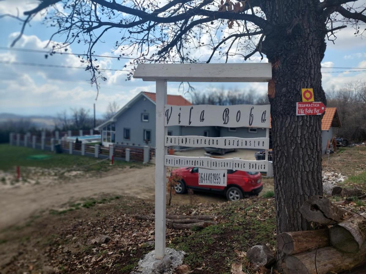Vila Boba Bor Zlot Екстериор снимка