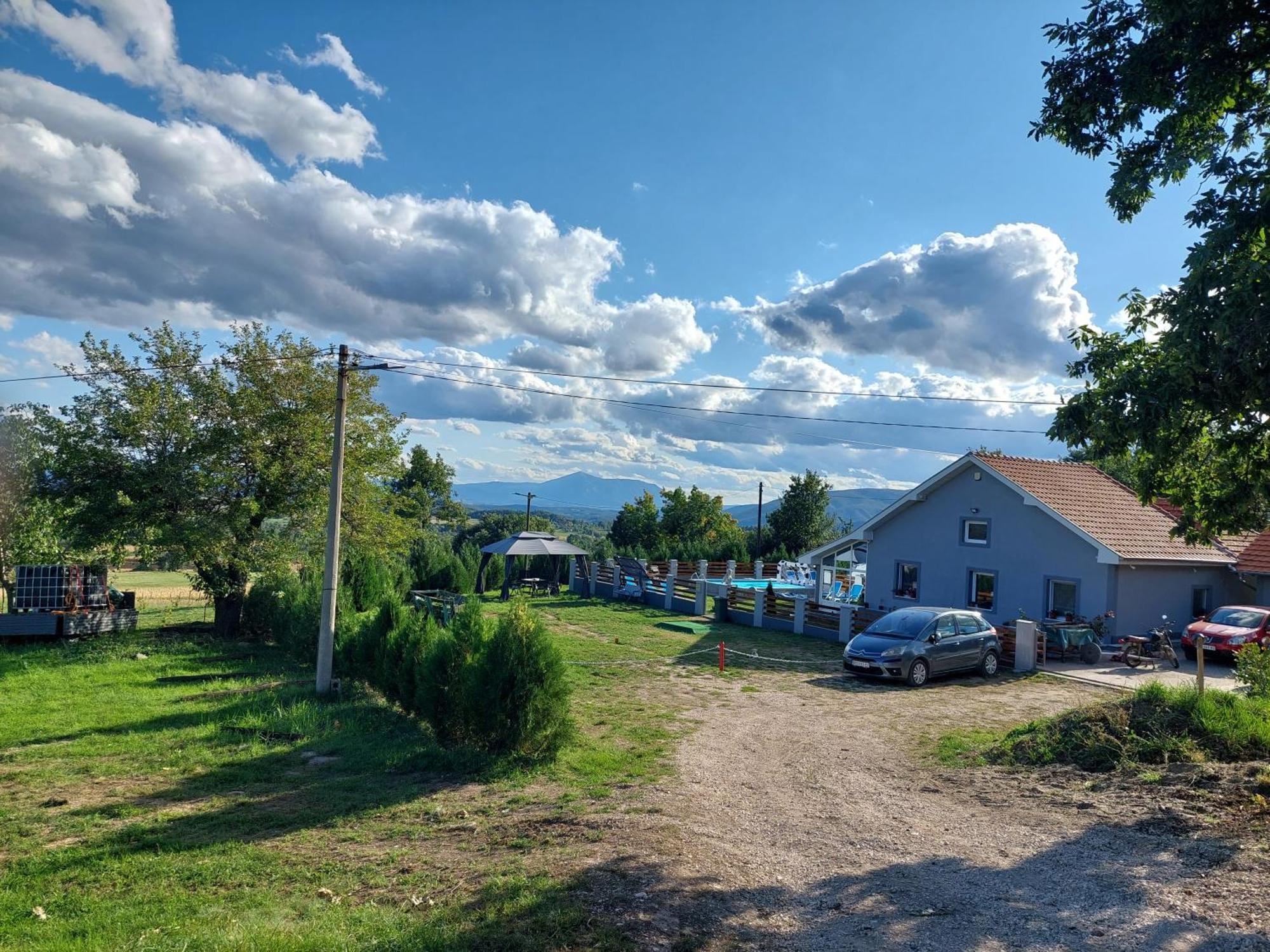 Vila Boba Bor Zlot Стая снимка