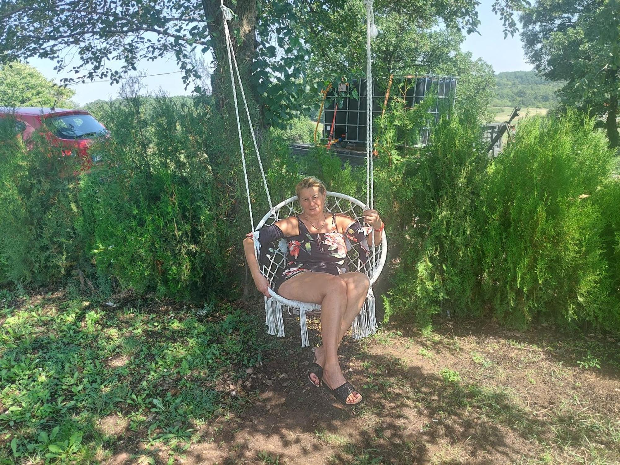 Vila Boba Bor Zlot Стая снимка