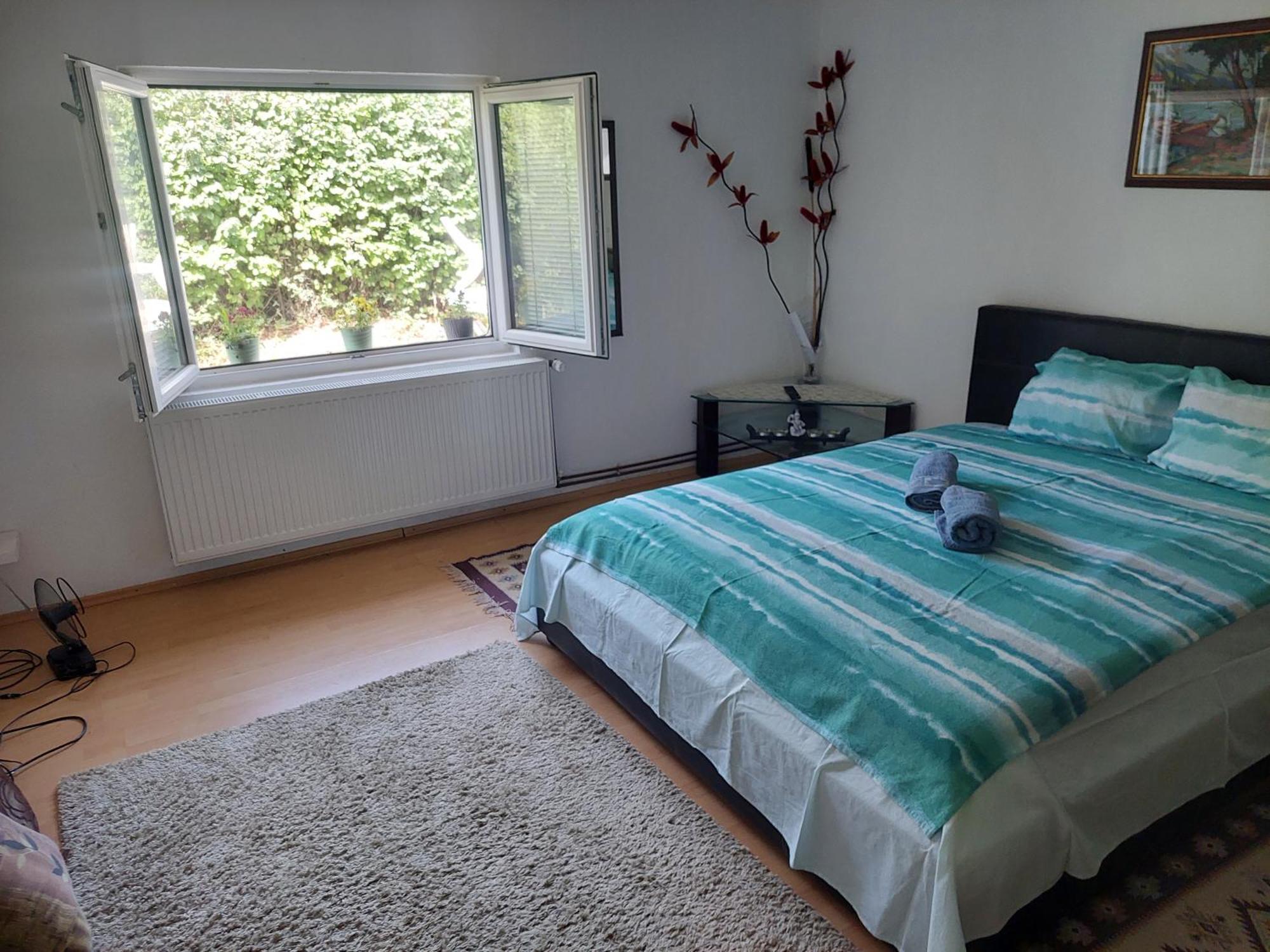 Vila Boba Bor Zlot Екстериор снимка