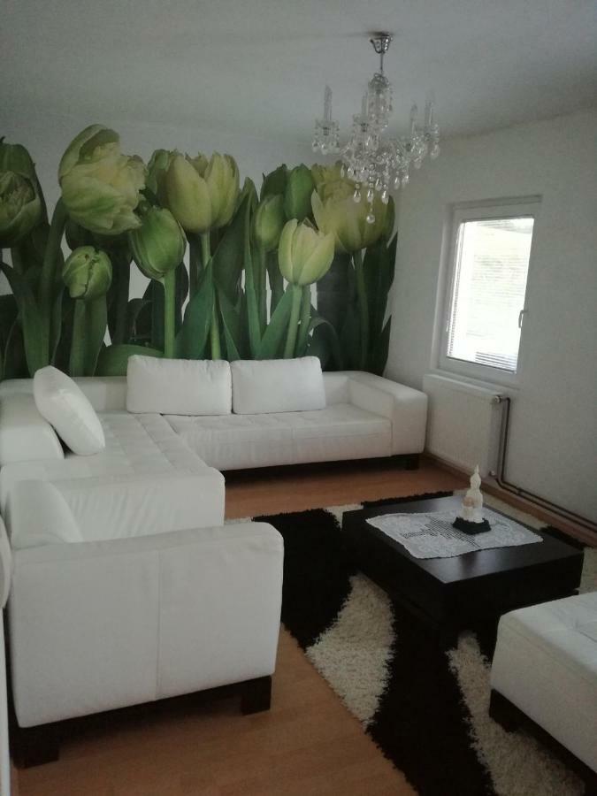 Vila Boba Bor Zlot Екстериор снимка